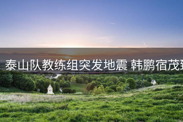 泰山队教练组突发地震 韩鹏宿茂臻双双请辞背后暗藏玄机